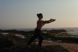 Sylvana somatic therapy