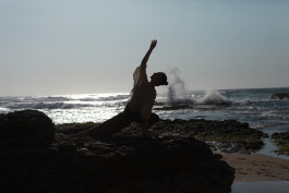 Sylvana somatic therapy