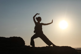 Sylvana somatic therapy