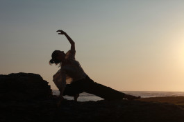 Sylvana somatic therapy