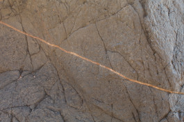 Sylvana somatic therapy