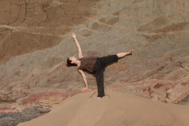 Sylvana somatic therapy